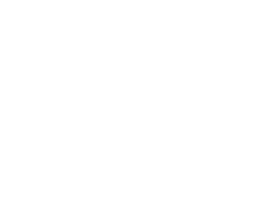 NORVIK Professional Frozen Foods